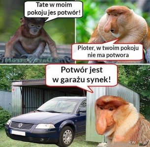 Jakiś z pięknym zdjęciem